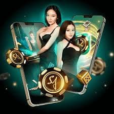 fly88 com